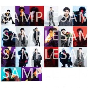 拳祭2025 ［ランダム]ブロマイド　5枚組